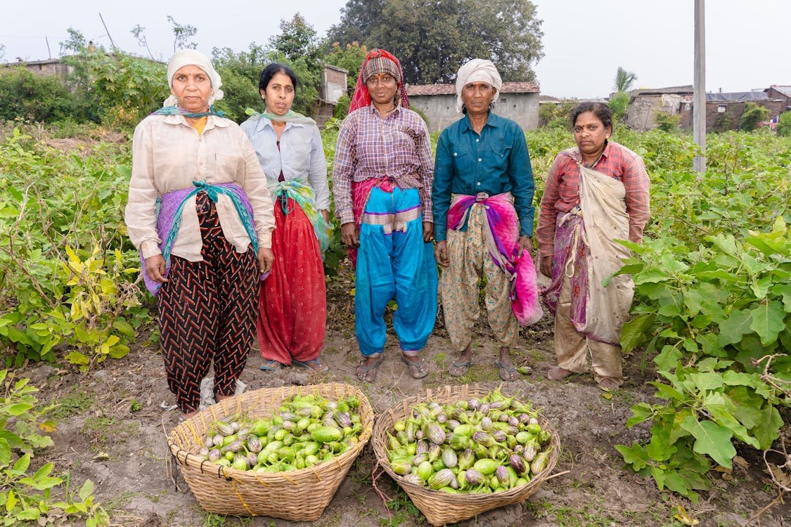 Group of women farmers
